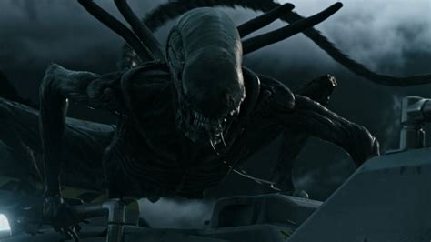 Film Why Xenomorphs Are Obsessed With Killing Humans Movies