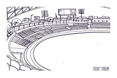 Cricket Stadium Custom Designed Illustrations ~ Creative Market