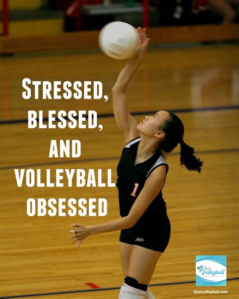 Volleyball Quotes For Teams