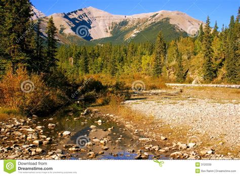 Little Elbow River Valley Stock Image Image Of Trees 3120339