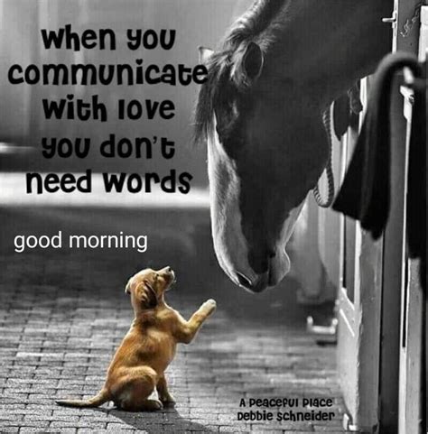 Pin By Sylvia Schuurman On Good Morning Wishes Horse Quotes Good