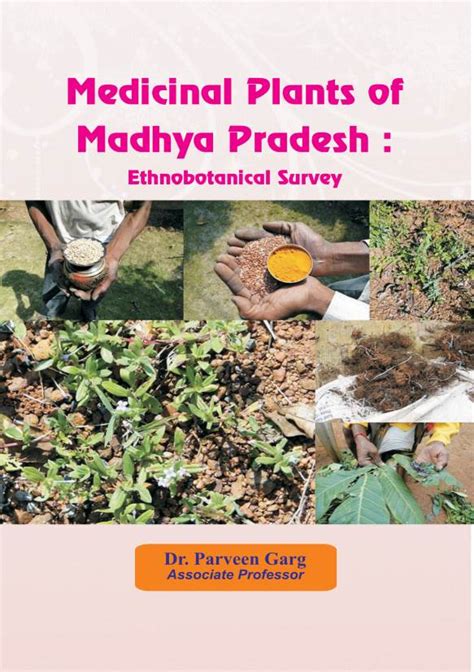 Medicinal Plants Of Madhya Pradesh Ethnobotanical Survey Docslib