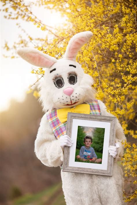 Provide A Virtual Easter Bunny Photo For You By Carsc Fiverr