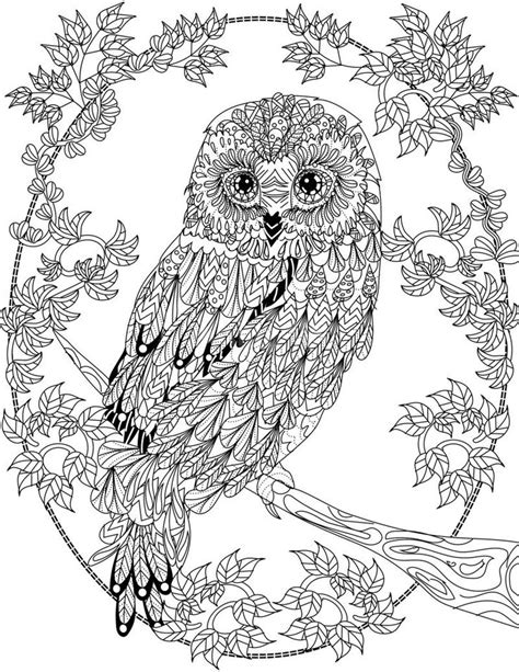 Https://wstravely.com/coloring Page/adult Coloring Pages Owls