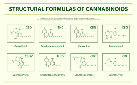 The Construction Of Cannabis What Are Cannabinoids