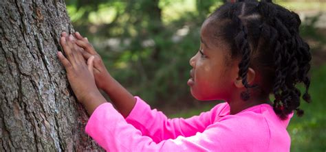 Connecting Children To Trees And Nature The Morton Arboretum