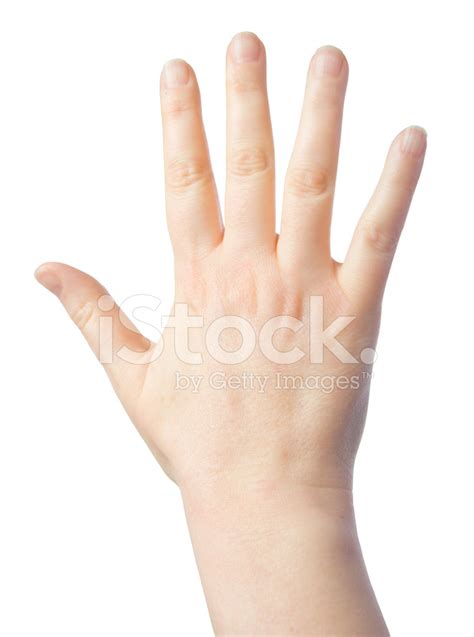 Back Of Hand Stock Photos