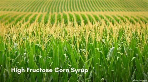 What Is High Fructose Corn Syrup Food Insight
