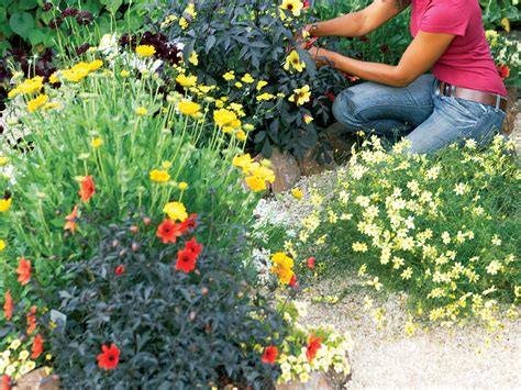 How To Design A Hot Color Flower Garden Sunset Magazine
