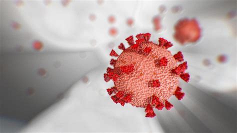 Coronavirus Pruebas Masivas Y Efectivas Cnn Video