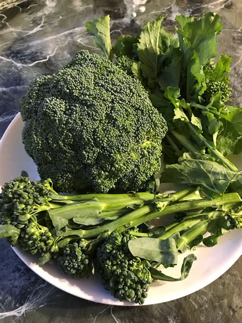 Nourishments Broccoli Broccolini Broccoli Rabe — A Triple Taste