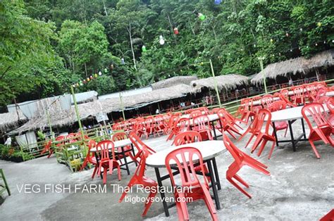 Like the name implies, this restaurant has the vegetables grown are pesticide free and are used in their dishes, so they taste fresh and sweeter too. Veg Fish Farm Thai Restaurant Hulu Langat 1 | Gan Boon ...