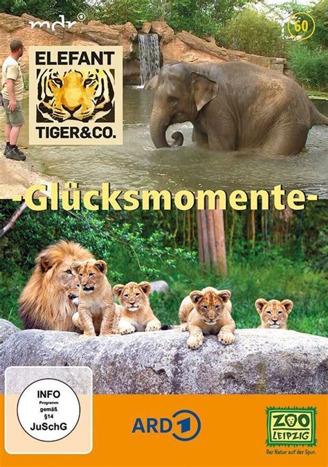 Elefant Tiger And Co Glücksmomente 1 Dvd Dvd Weltbildde
