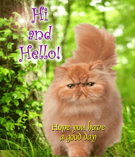 A Hi And Hello Card From Kitty Free Hi Hello Ecards Greeting Cards