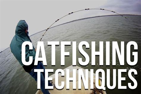 Catfishing Tips The Ultimate List Of Catfishing Tips