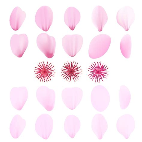Realistic Pink Sakura Petals Icon Set Cherry Petals Vector Art At Vecteezy