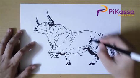 How To Draw A Bull Step By Step Youtube