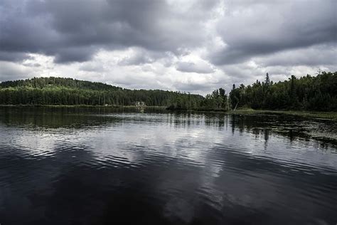 Hd Wallpaper Pond And Forest At Algonquin Provincial Park Ontario