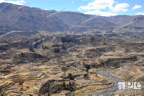 Terraced Fields Near Maca Colca Canyon Peru South America Latin