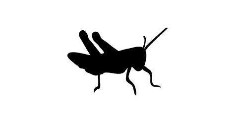 Cricket Bug Insect Silhouette Cricket Bug Sticker Teepublic