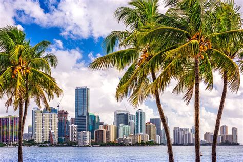 What Is Miami Known For 19 Things Its Famous For