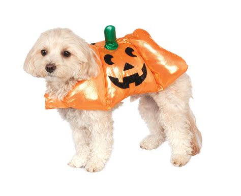 Pumpkin Dog And Cat Costume Pet Costume Center