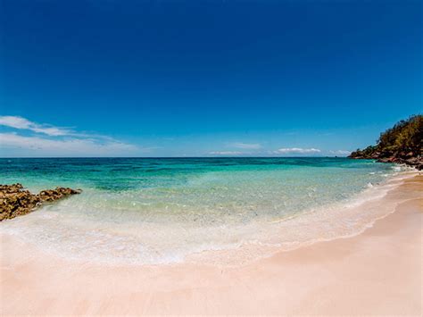Best Beaches In Fiji Explore And Experience The Ocean Water Turtle Island