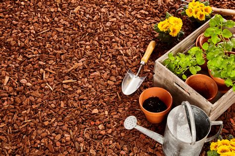 The grass consumes these nutrients all over again and. Alternatives To Grass In Backyard: Lawn Replacement Tips ...