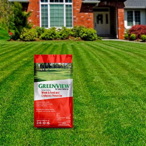 Tips For Fertilizing Your Lawn • Greenview