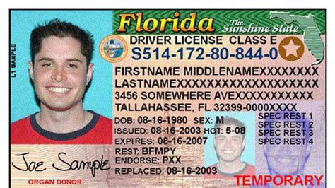 Under 21 Drivers License Florida - Https Www E Verify Gov Sites Default ...