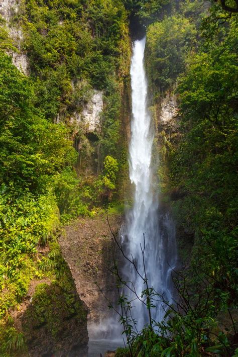 middleham falls in dominica foto and bild north america central america caribbean sea bilder