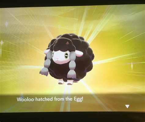 8 1092 Eggos For My Favorite Shiny From This Generation My First Time Using Masuda Method 3