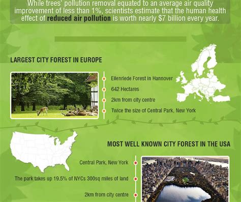Infographic Why Urban Forests Are Essential To Successful Cities