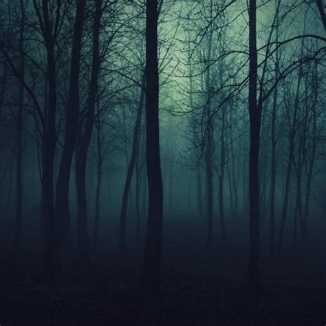 Stream Evil Forest By Algernon Van Peel Listen Online For Free On