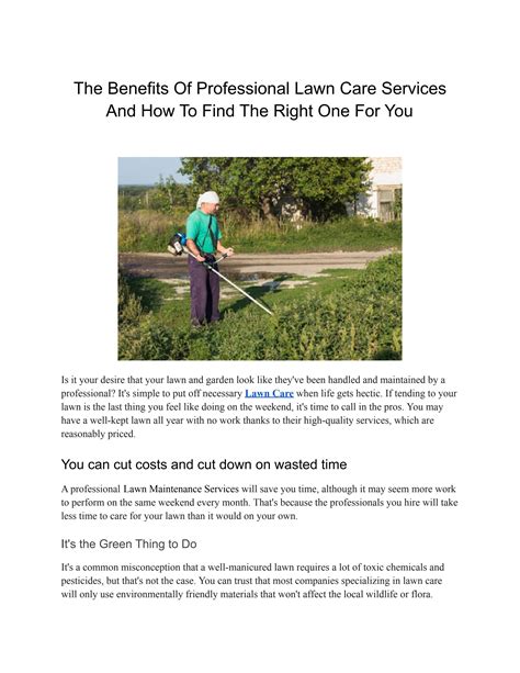 The Benefits Of Professional Lawn Care Services And How To Find The