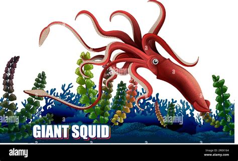 Giant Squid Deep Sea Creature Illustration Stock Vector Image And Art Alamy