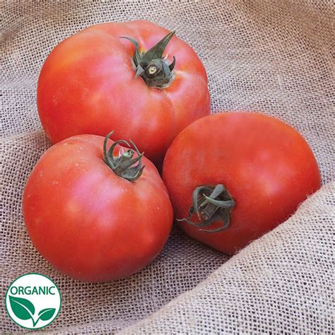 Caiman F1 Organic Tomato Seeds Osborne Hybrid Farm Seed Company