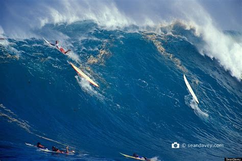 Huge Surf On North Shore Of Oahu Shows You Dont Have To Go To Nazaré
