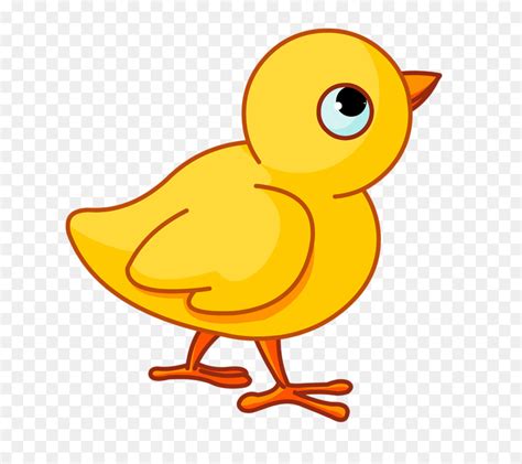 Chicken Bird Yellow Chick Vector Png Download 19421384 Free
