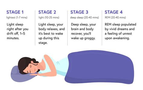 The 4 Stages Of Sleep Non REM REM Sleep Cycles Tucked