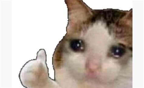 Sadcatthumbsup Discord Emoji Crying Cat Thumbs Up Meme Template Kisah