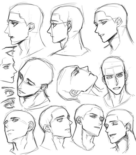 Drawing Anime Drawing Male Face Reference The Male Head Is Similar In Many Ways To The Female