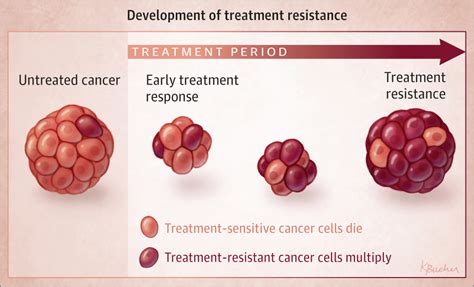 The Evolution Of A Cancer Targeted And Immune Cancer Therapy Jama