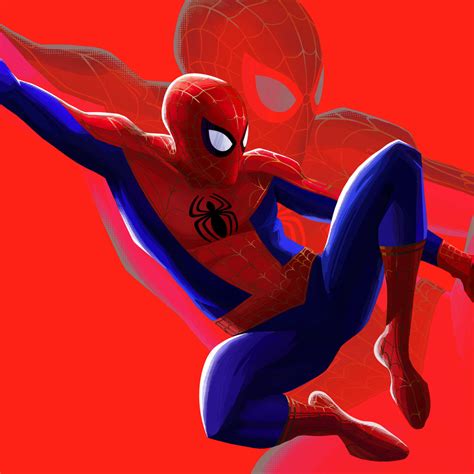 1080x1080 Resolution Spider Man Into The Spider Verse Hd 1080x1080