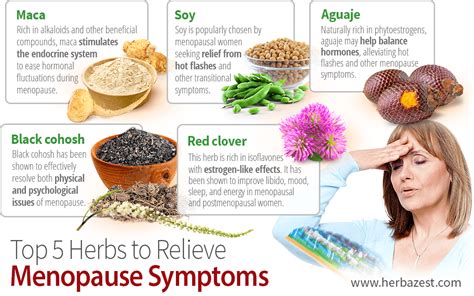Top 5 Herbs To Relieve Menopause Symptoms HerbaZest