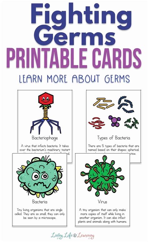 Kindergarten Germs Worksheet