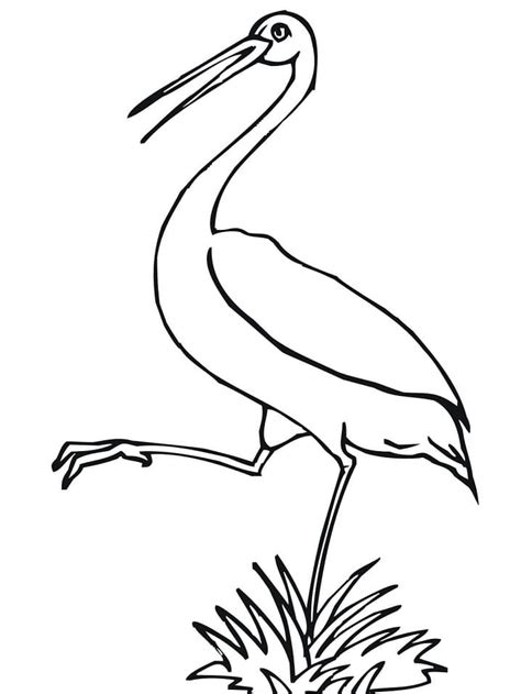 Stork Coloring Pages At Getcolorings Com Free Printable Colorings My