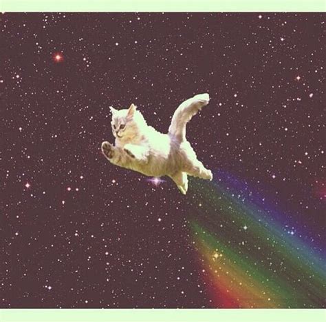 Flying Galaxy Cat Galaxy Cat Cat Art Space Cat