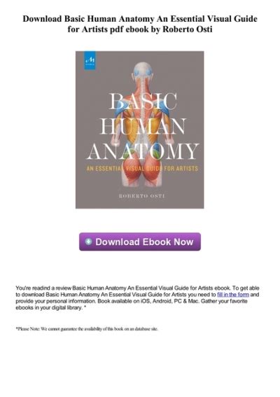 Basic Human Anatomy An Essential Visual Guide For Artists