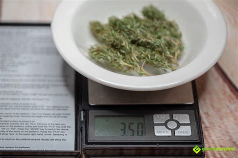 Note that rounding errors may occur, so always check the results. How Many Ounces to a Pound of Cannabis? | Greendorphin.com